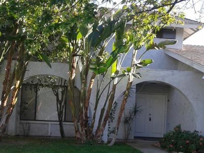 25771 Lawton Avenue, Loma Linda, CA 92354